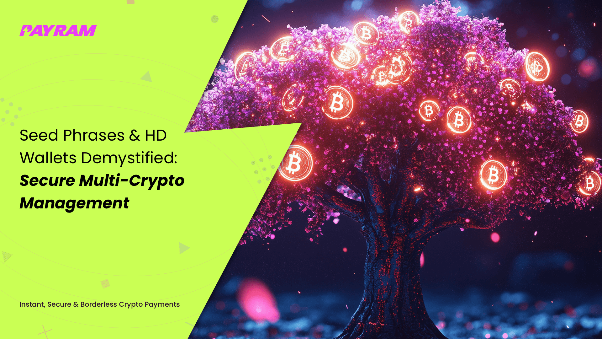 Seed Phrases & HD Wallets Demystified: Secure Multi-Crypto Management